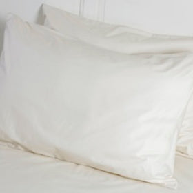 Dust Mite Proof Pillow Covers