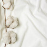 Cottonfresh Organic Cotton Bed Linen
