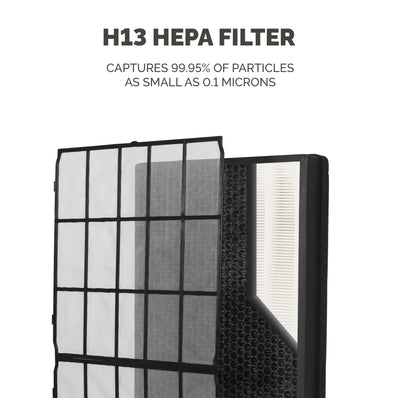 Aeramax SV Hybrid Filter 2-Pack