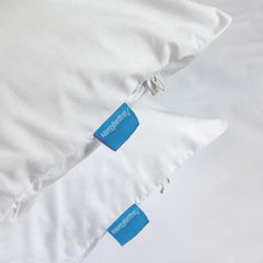 AllergyBestBuys Dust Mite Proof Pillow Barrier Covers